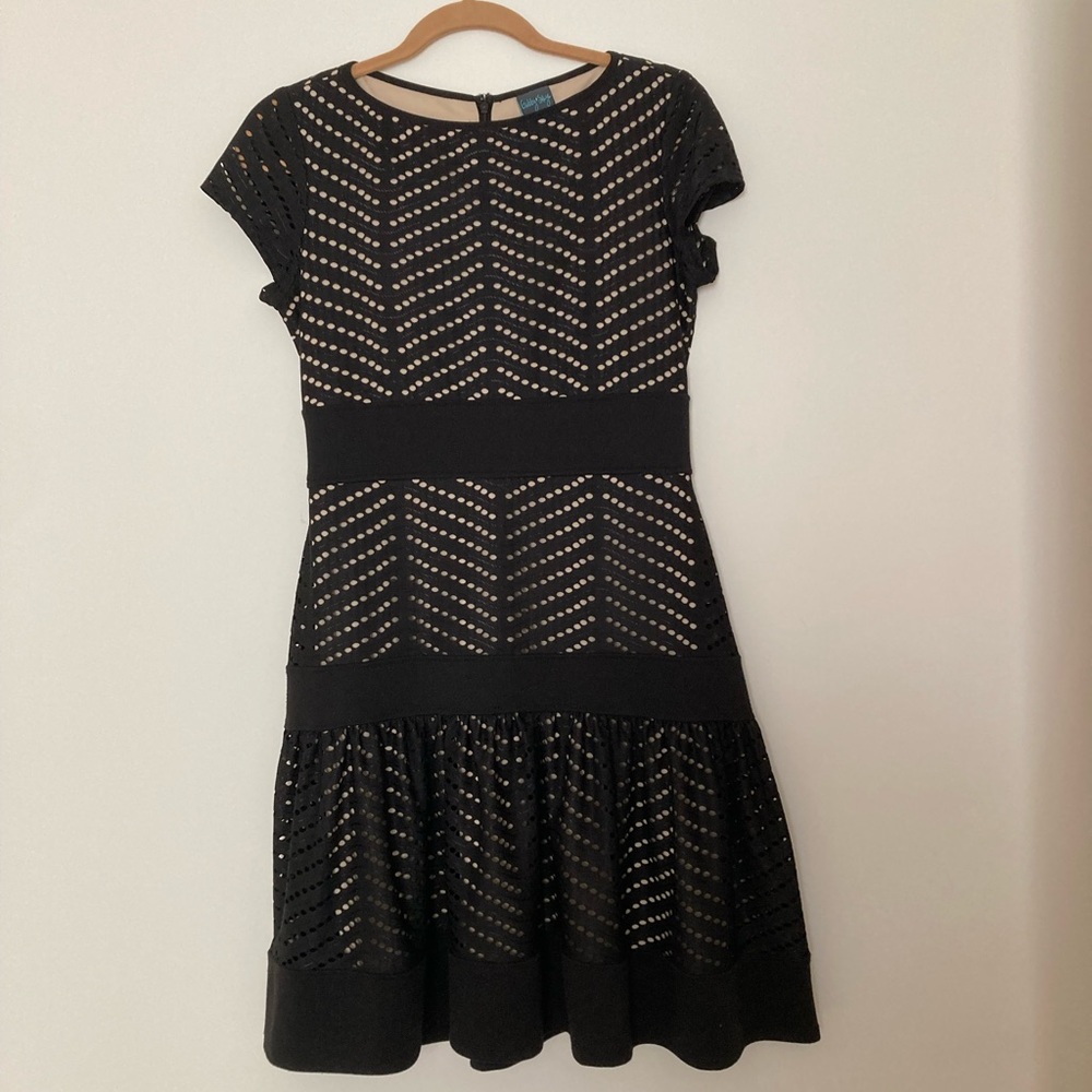 Elegant Black Lace Dress by Gabby Skye